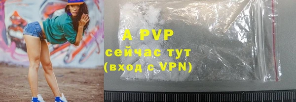 спиды Богданович