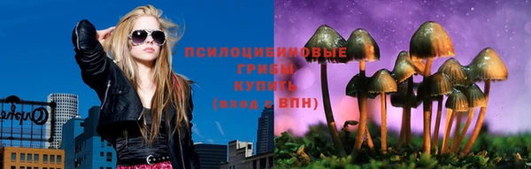 спиды Богданович