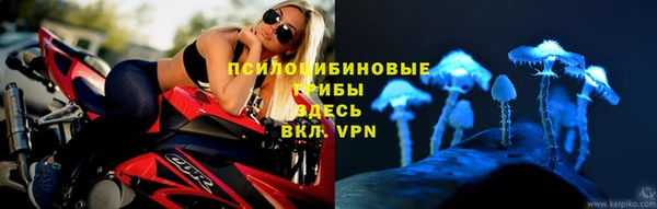 трава Богородицк