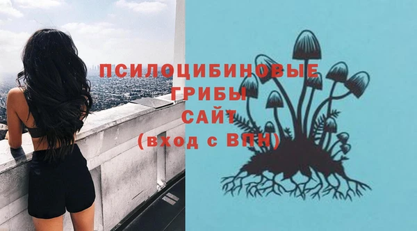 трава Богородицк