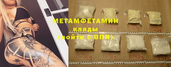 спиды Богданович